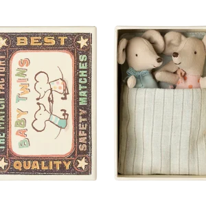 Bébés souris jumeaux dans une boîte d'allumettes