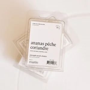 CUBES DE CIRE DE SOYA POUR DIFFUSEUR - Ananas, pêche et coriandre