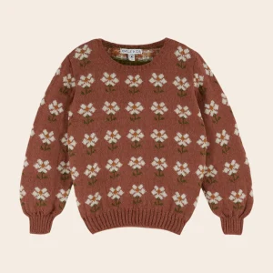 Pull - Jacquard Marguerite bois de rose