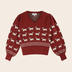 Pull - Teckels coton bio brique