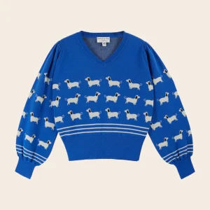 Pull - Teckels coton bio bleu royal