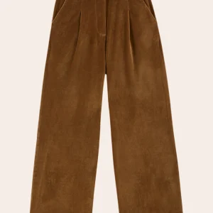 Pantalon - Velours bronze
